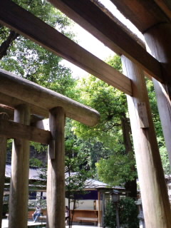 K􂢕ٓV