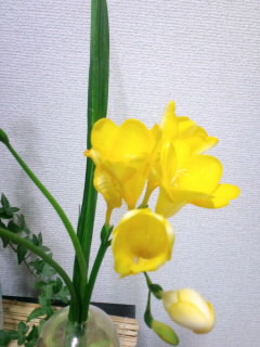 t[WA