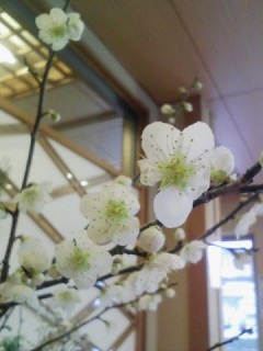 炢iLցMj