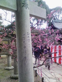 ~ԍ