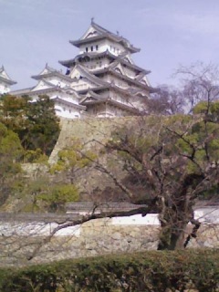 蓹PH