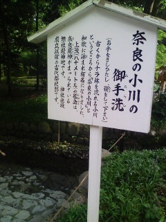 悮